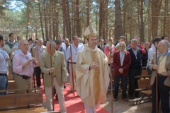 Obispo y cofrades camino del altar (6)